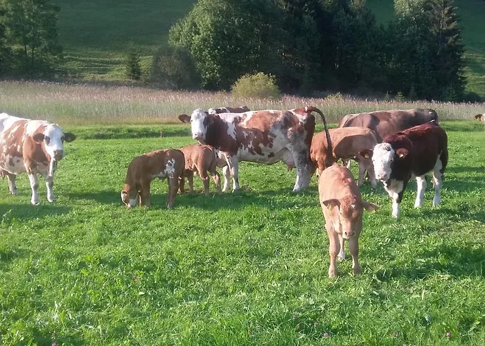 Vakantieboerderij Ammann Bad Hindelang